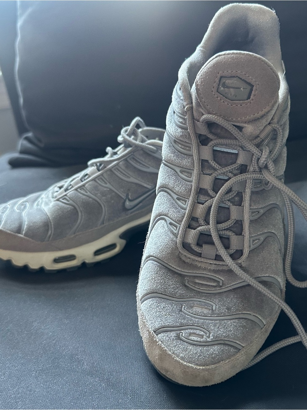 Nike Grey Suede Air Max Plus TN Sneakers